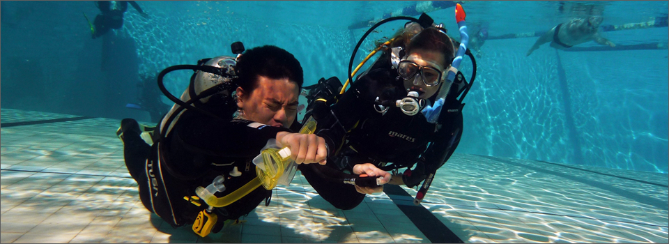 PADI Divemaster Course - $1299 | Diving Adelaide