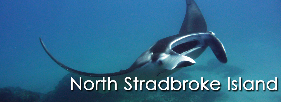 North Stradbroke Island