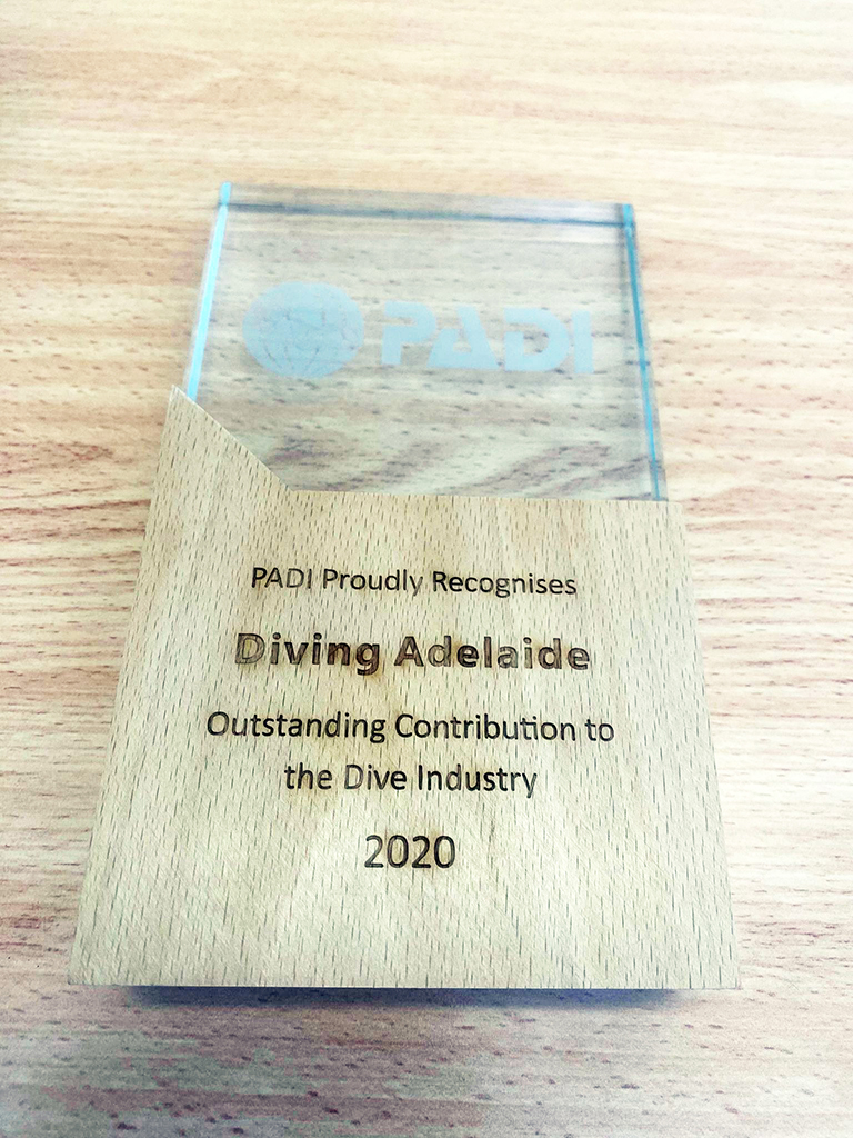 PADI Outstanding Contribution to the Dive Industry Award 2020