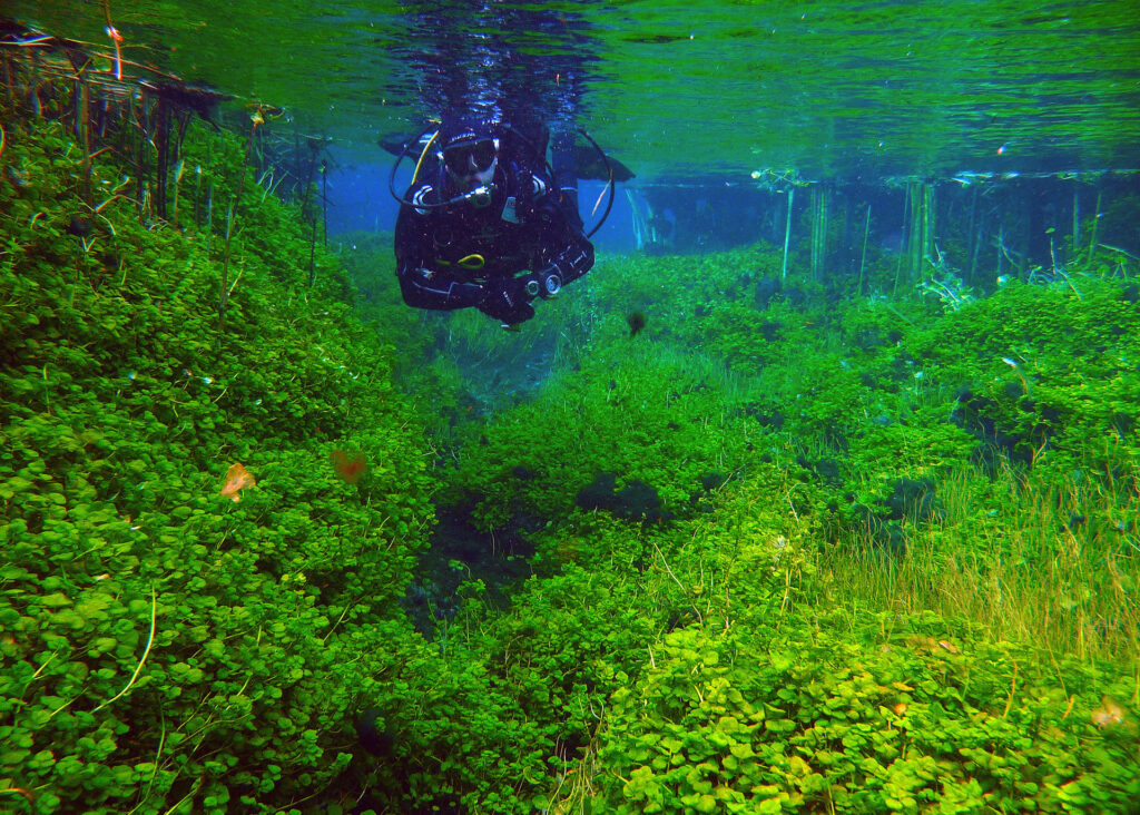 Top 10 Dive Sites of South Australia Ewends Ponds
