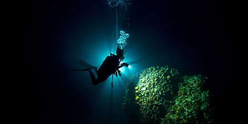 PADI Night Dive Specialty Course